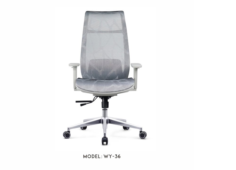 WY-36 Mesh office Chair