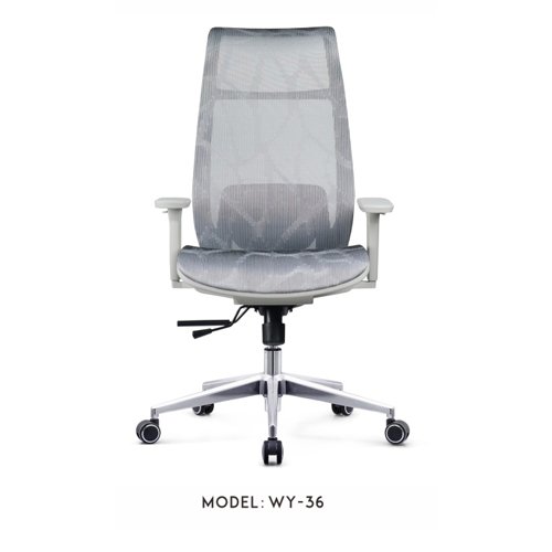 WY-36 Mesh office Chair